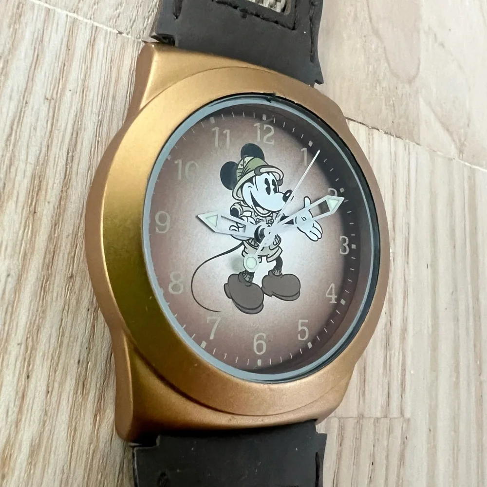 Disney brand parks